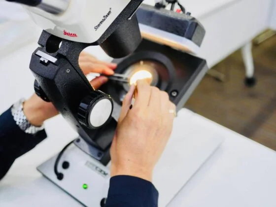 実技セミナーの様子