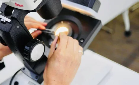 特徴的なインクルージョンを探す。